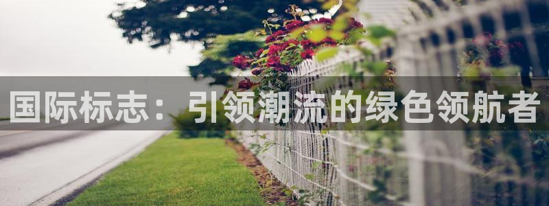 酷玩体育：国际标志：引领潮流的绿色领航者
