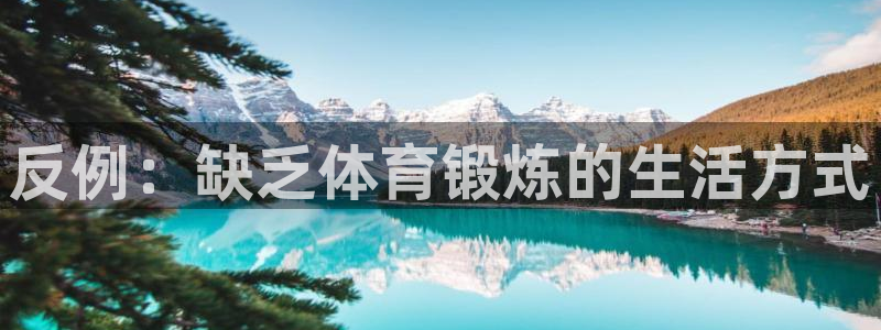 酷玩体育app：反例：缺乏体育锻炼的生活方式