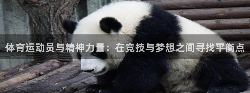 酷玩体育登录即领礼包入口：体育运动员与精神力量：在竞技与梦想之间寻找平衡点