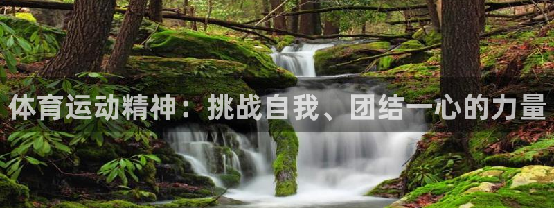 酷玩体育低调看NBA：体育运动精神：挑战自我、团结一心的力量